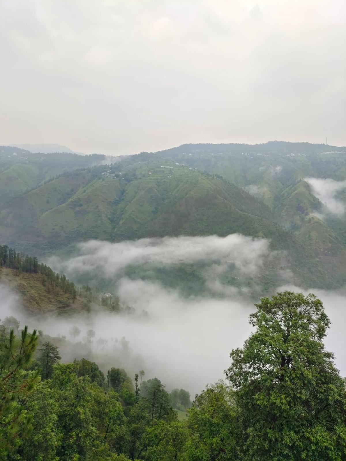 Little Heart Resort Chail Exterior foto
